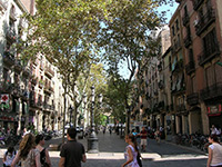 Barcelona - Ciutat Vella - Borne
